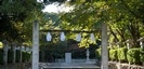 廣田神社の鳥居と参道
