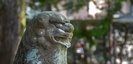 市杵島姫神社の狛犬