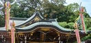 江島神社の七夕飾り