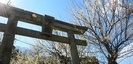 菅原神社の鳥居と梅