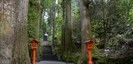 箱根神社の石段