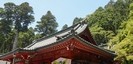 箱根神社の拝殿と本殿