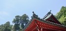 箱根神社の拝殿