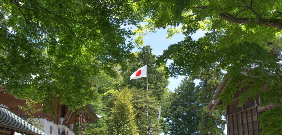 新緑の綺麗な神社 伊勢原市 比々多神社