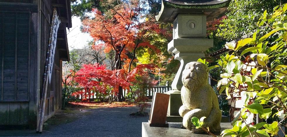 比々多神社の紅葉