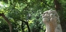 報徳二宮神社の狛犬　平成27年8月1日