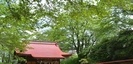 新緑の綺麗な神社 平塚 駒形神社