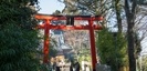 白笹稲荷神社の鳥居
