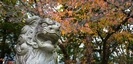 曽屋神社の紅葉と狛犬