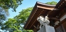 健速神社の狛犬と新緑