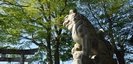 健速神社（たけはやじんじゃ）の狛犬