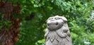 神津神社の狛犬