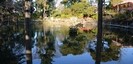 久伊豆神社の池