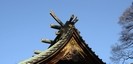 久伊豆神社の千木