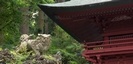 東口浅間神社の狛犬と門