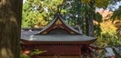 東口本宮冨士浅間神社の本殿と紅葉