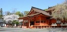 富士山本宮浅間大社の桜と本殿